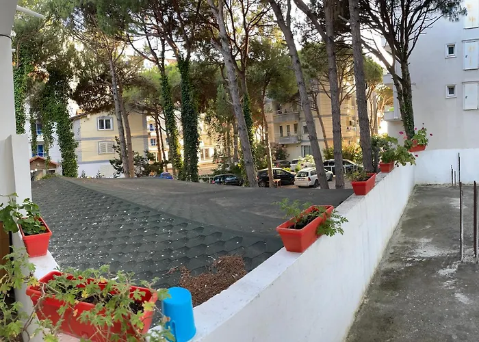 Anor * Golem (Tirana)